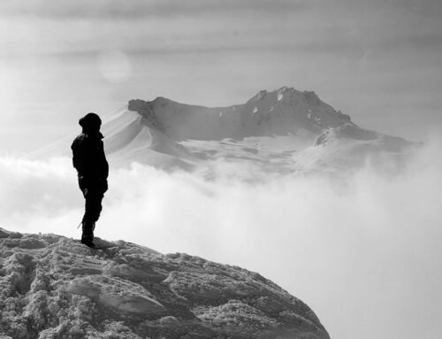 Level 1 – Transformational Accelerator