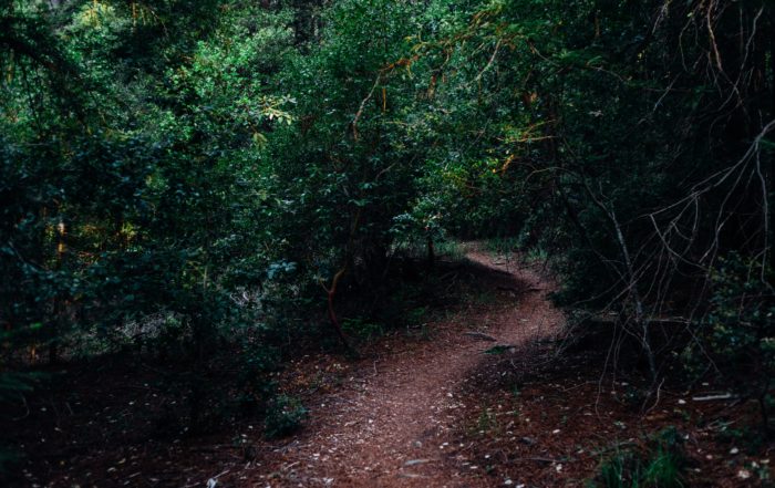 Are-there-any-Benefits-to-Self-Exploration?