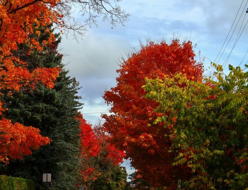 The Colours Changed on the Way to Work
